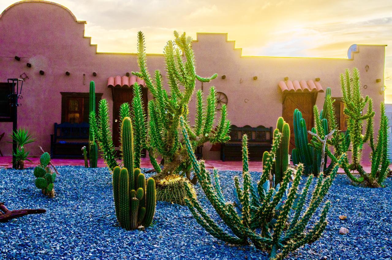 El Alamo Hotel Valle de Guadalupe Kültér fotó